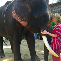 The Best Day of My Life: Patara Elephant Farm in Thailand